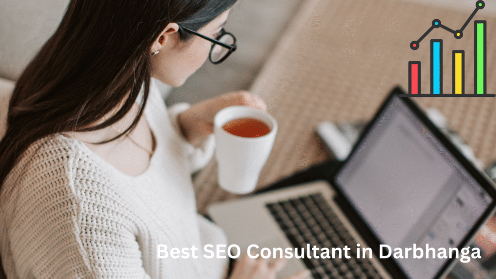 Best SEO Consultant in Darbhanga